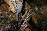 Pre-Order WK Shadow Strike