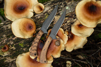 Pre-Order WK Shadow Strike