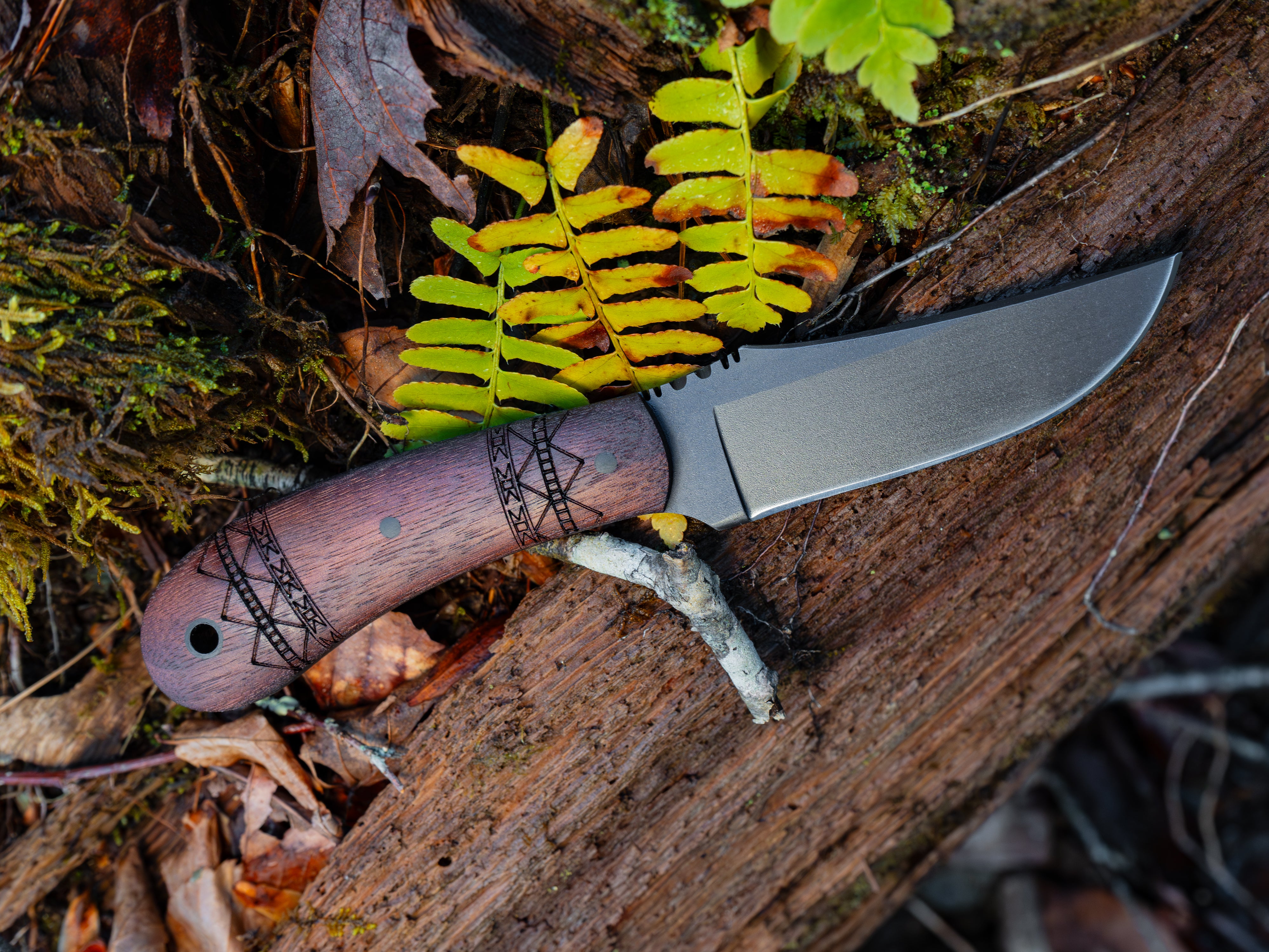 Currently Available WK SD1