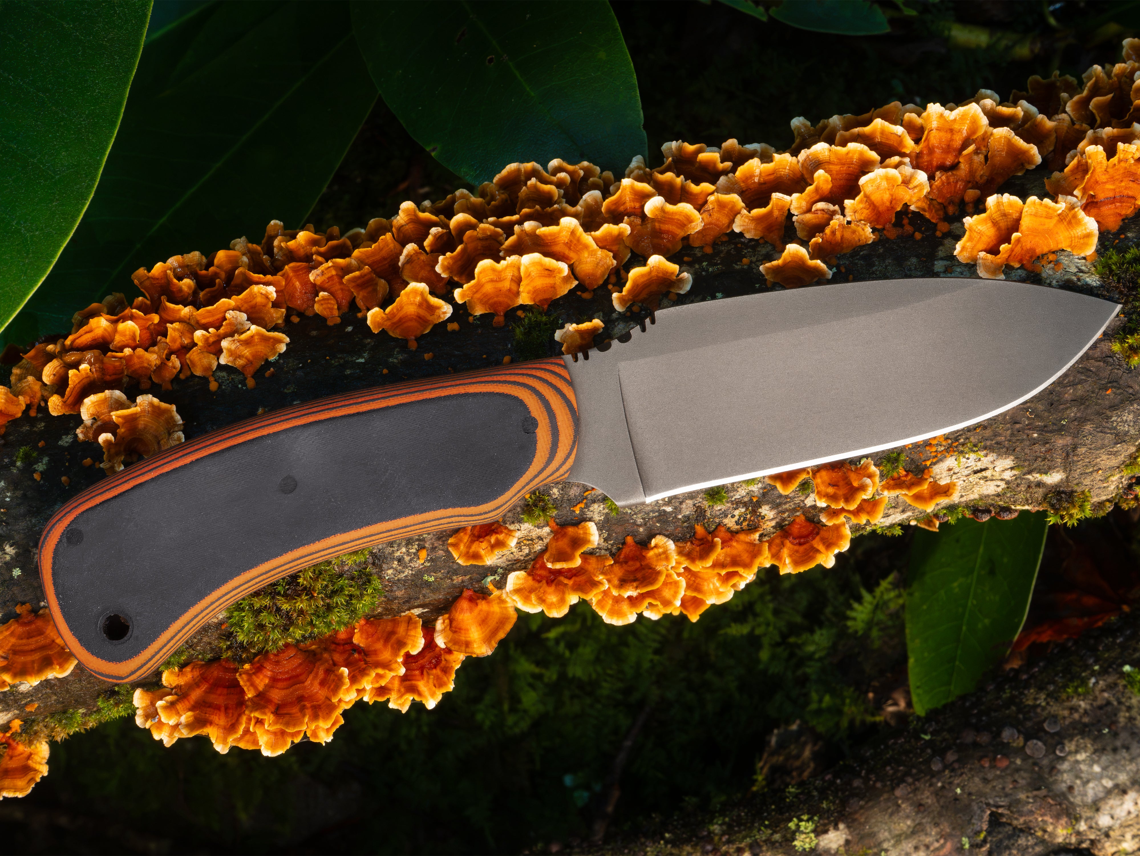Currently Available WK Drop Point Hunter