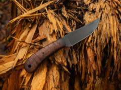 IMG_4988_71fada68-5609-48b3-