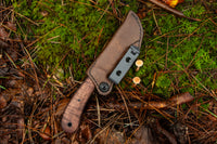 Currently Available WK SD1