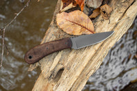 WK SD2