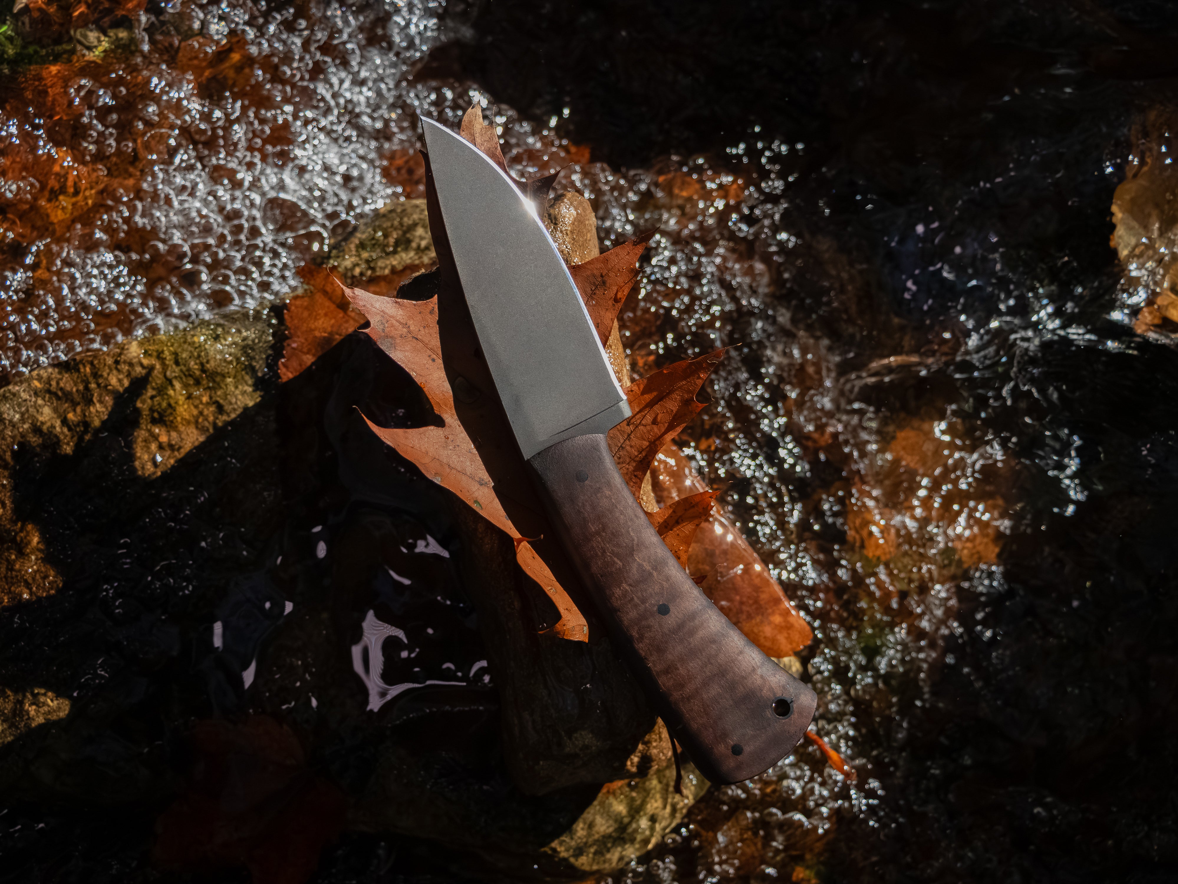 Currently Available WK Forest Edge