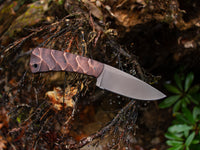 WK Forest Edge