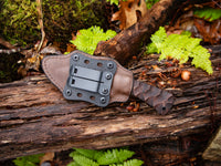 Currently Available WK Forest Edge