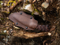 Currently Available WK Forest Edge